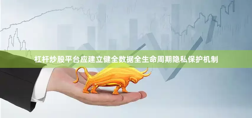 杠杆炒股平台应建立健全数据全生命周期隐私保护机制